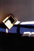 Bovary