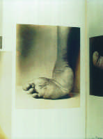 Bovary