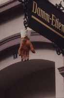Bovary